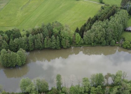Umgebung